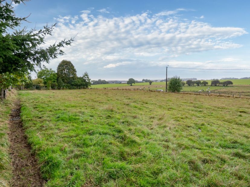 ERA BLUX vous propose un terrain plat à bâtir denviron neuf ares situé à Offagne dans la commune de Paliseul, un endroit apprécié pour son environneme