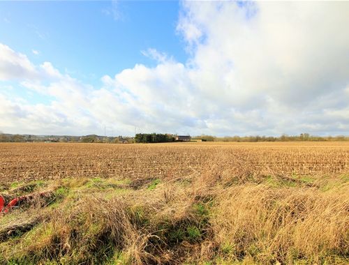                                         Terrain à bâtir à vendre à Neuville, € 74.000
