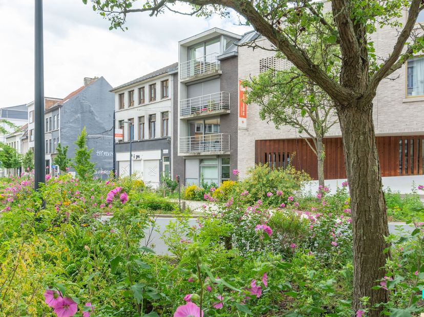 Appartement à louer
                    à 9000 Gent