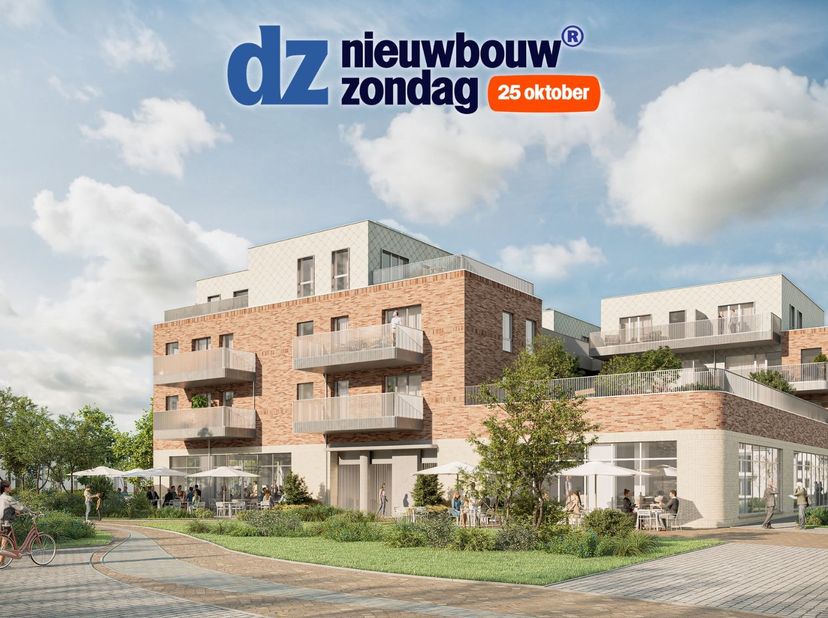 Project in Guido Gezellestraat,
                    9470 Denderleeuw
