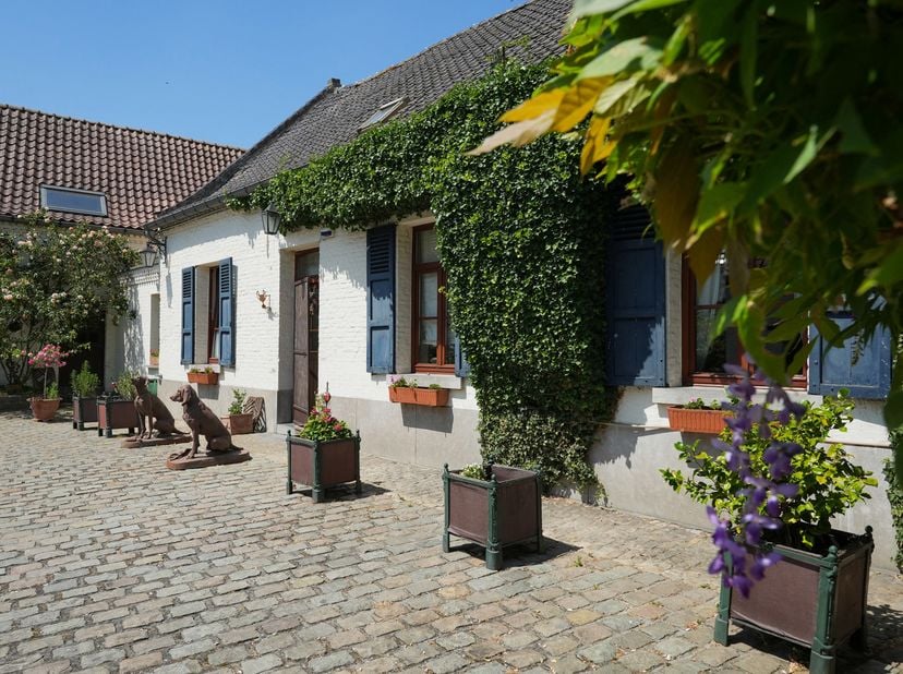 À l'abri des regards, en retrait de la voirie et nichée dans un environnement paisible au cœur du village de Mainvault, cette remarquable ferme en car