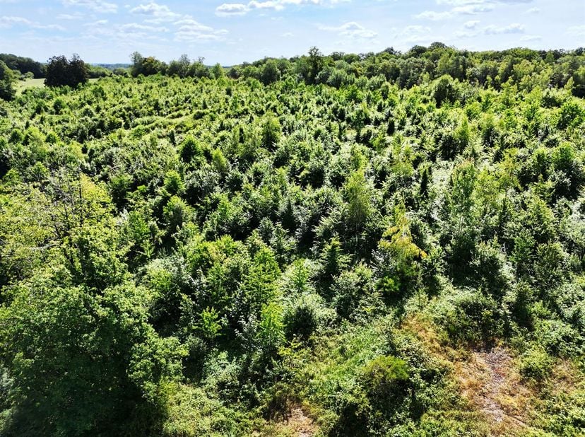 Terrein met een matige helling, op het noorden gelegen. Gemakkelijke toegang via een geasfalteerde weg die naar het perceel leidt.<br />
Leem- en stee