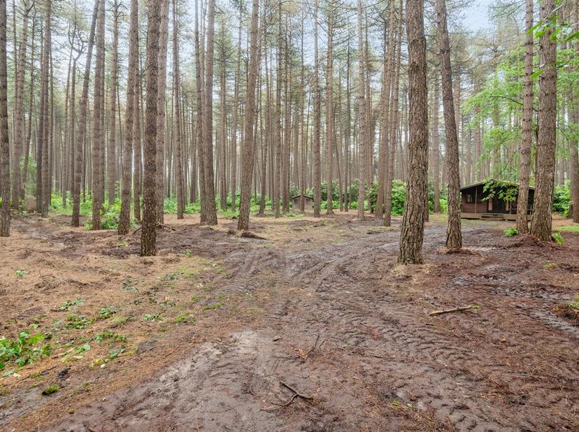 Bosgrond met chalet op riant perceel van 2607m²<br />
Ligging:<br />
Deze bosgrond is zeer rustig gelegen in een groene omgeving net nabij E34. Vlotte