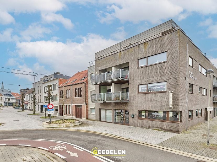 Bien professionnel à vendre
                    à 3920 Lommel