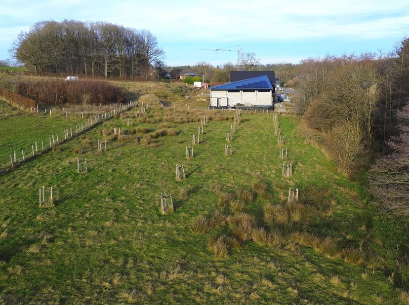 Grond te koop in Bosson (à droite du n°7),
                    4190 Werbomont