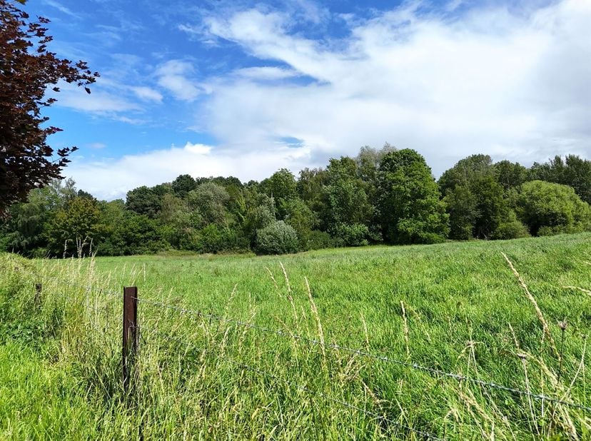 Vlak, weideachtig land met een geasfalteerde weg van 6300 m². Zeer rustige omgeving.<br />
Het perceel heeft een straatgevel van ongeveer 150 meter.<