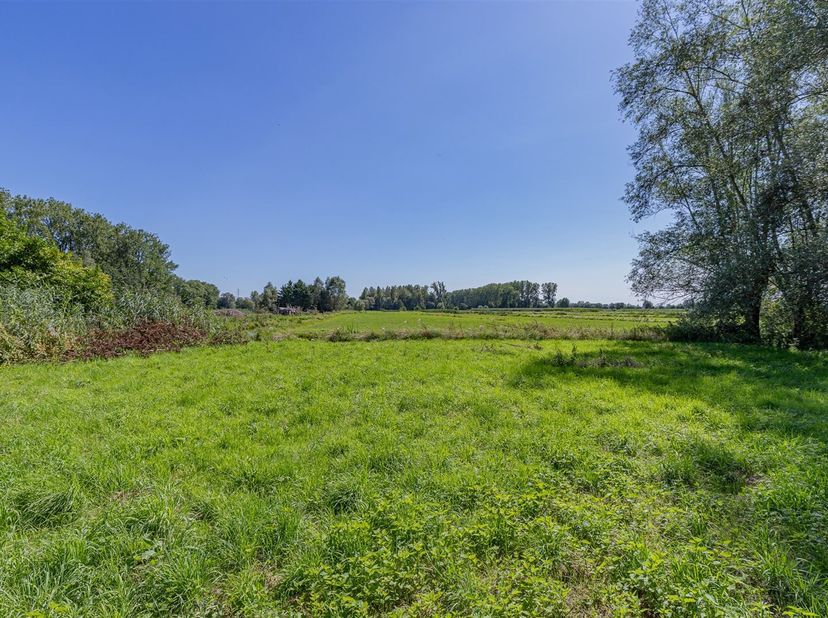 Exclusieve bouwgrond te koop op de Sint-Onolfsdijk te Appels bij Dendermonde. Ontdek deze uitzonderlijke kans om uw droomwoning te realiseren op een p