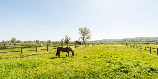Maison à vendre à 9790 Petegem-aan-de-Schelde