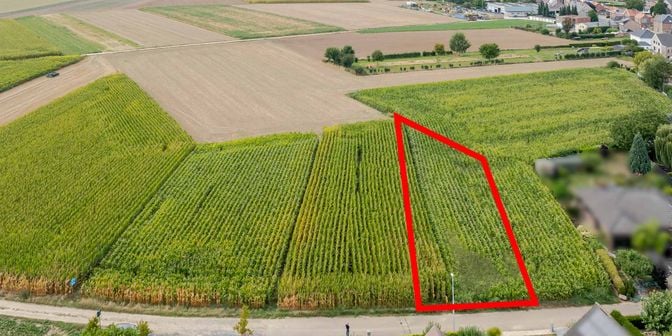 Terrain à vendre à Papenweg ZN, 3620 Veldwezelt