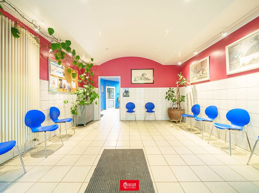 CLINIQUE VETERINAIRE située proche de Tournai et à proximité des autoroutes, lAgence Leclercq vous propose cette clinique de 500 m² !<br />
La cliniqu