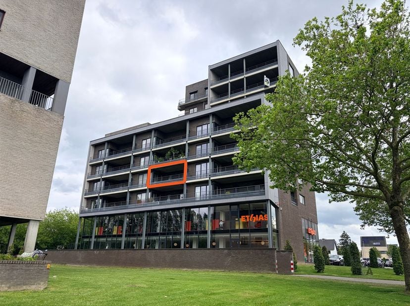 Appartement à louer
                    à 3500 Hasselt