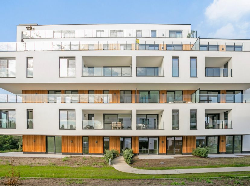 Appartement à louer à Schaluinveld 33 boîte F1,
                    3290 Diest