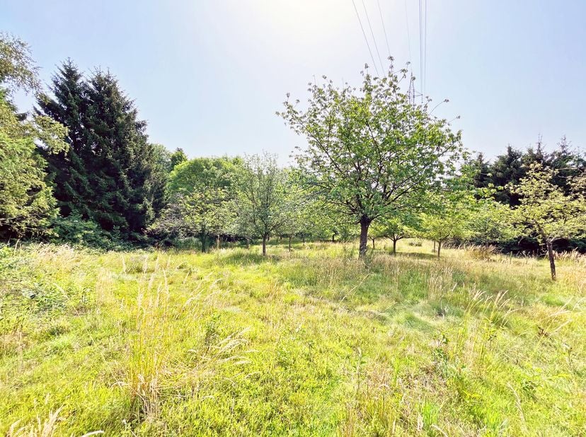 Nous vous proposons ce grand terrain à bâtir de presque 35 ares situé à Rochefort, dans le village de Forzée. Bénéficiant d'une très belle localisatio