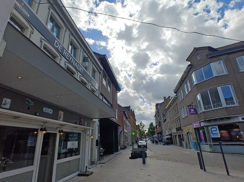Bien professionnel à louer
                    à 3960 Bree