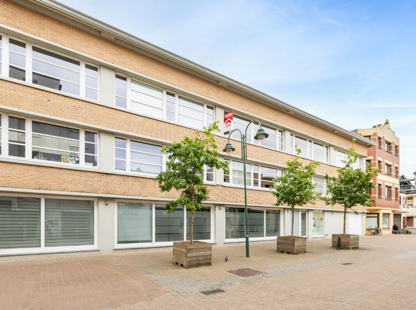 Appartement te koop in Bonzellaan 1 bus 0203,
                    8660 De Panne