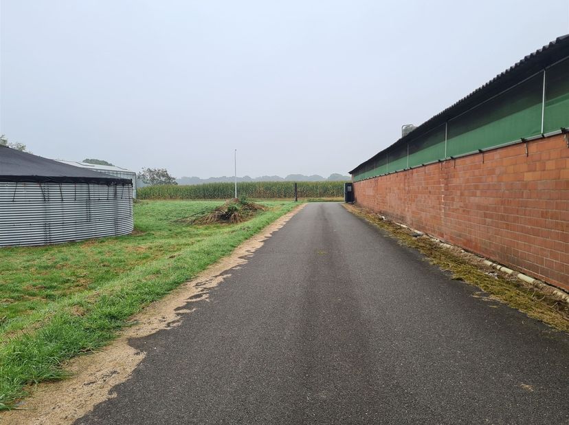 Opslagruimte van 385m² te Huur <br />
<br />
<br />
Deze opslagruimte is gelegen op Geheul, een verlening van Koekhoven te Merksplas.<br />
Ideaal