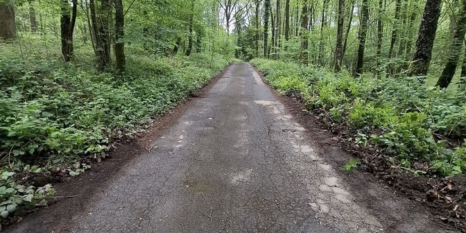 Grond te koop in 5670 Oignies-en-Thiérache