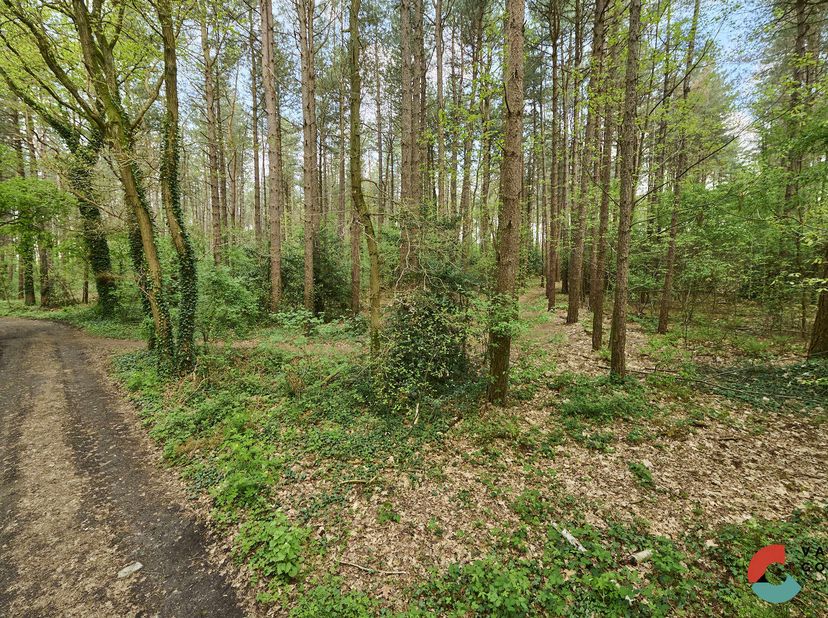 Terrain à vendre
                    à 3940 Hechtel