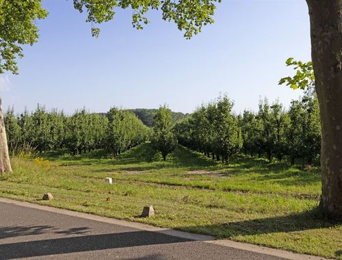                                         Bouwgrond te koop in Hasselt, € 660.000
