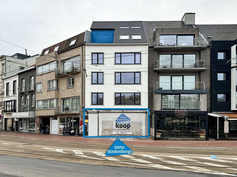 Bien professionnel à vendre
                    à 8370 Blankenberge