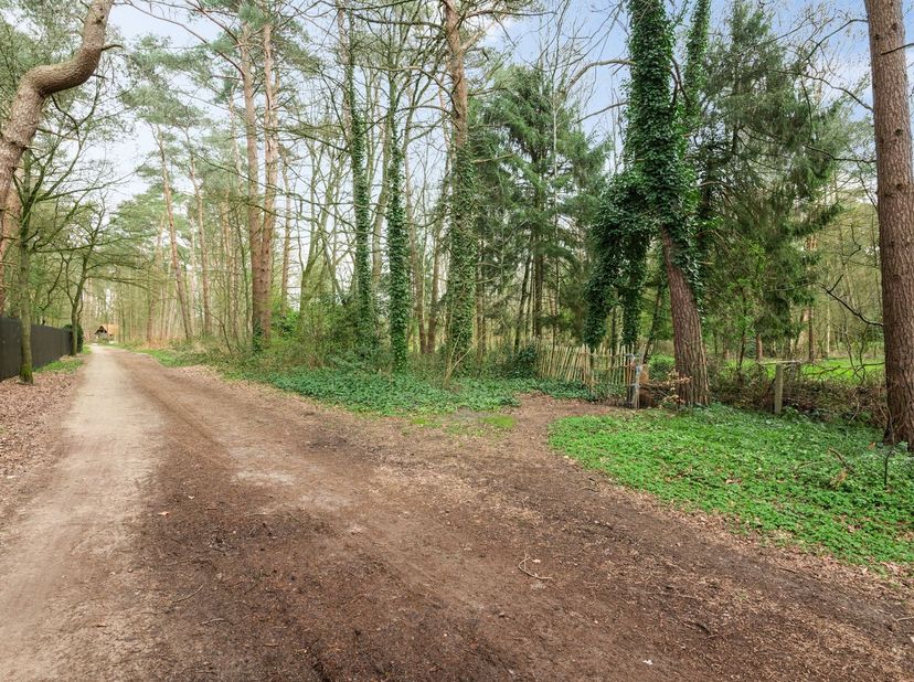 Cette parcelle de 4 acres, située sur la Lemmekensbaan à Zoersel, se trouve dans une zone agricole à valeur écologique. Par conséquent, elle n'est pas