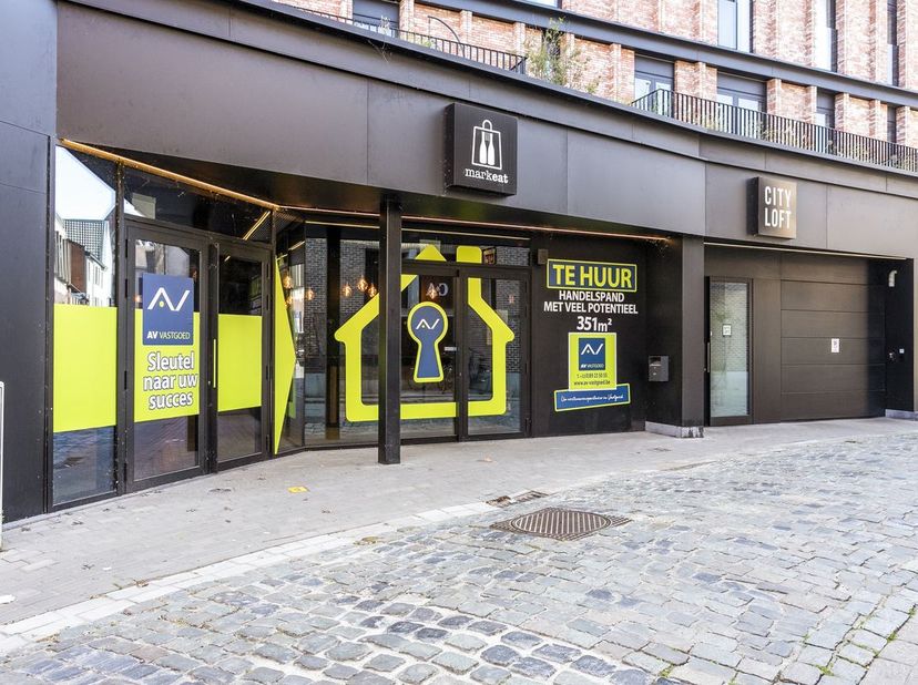 Bien professionnel à vendre
                    à 3500 Hasselt