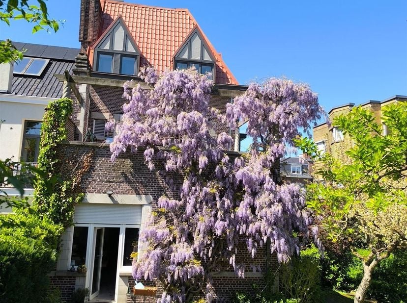 INFO/VISITE : Email = agence@immo2a.be ou WhatsApp/SMS = 0476.57.08.72 (Chris. Delbrouck, IPI)  -  COUP DE COEUR ! Quartier des Fleurs (Sainte-Suzanne