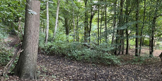 Terrain à vendre à Onze-Lieve-Vrouwstraat, 3220 Holsbeek
