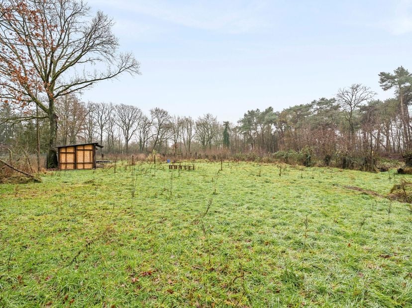 Terrain à vendre
                    à 2490 Balen