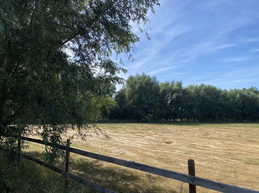 Grond te koop in Beatestraat,
                    9250 Waasmunster