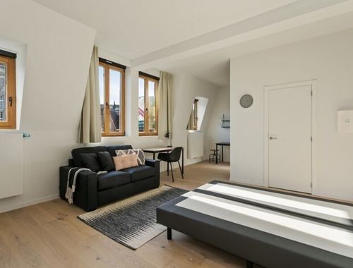                                         Studio avec coin lit à louer à Leuven, € 825
