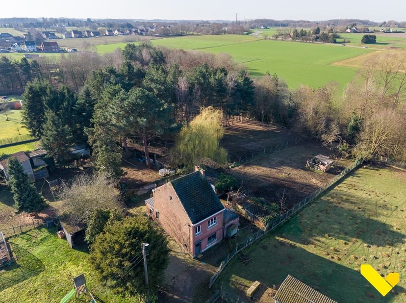 Unieke kans in Scherpenheuvel-Zichem (Hoensberg): bouwgrond of totaalrenovatie met enorm potentieel<br />
Droomt u van een woning die u volledig naar