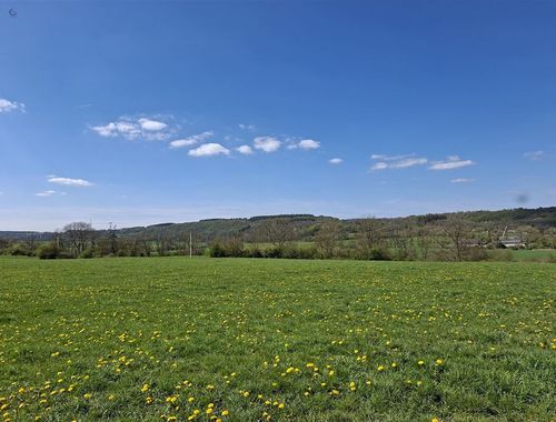                                        Terrain à vendre à Grandhan, € 1.800.000
