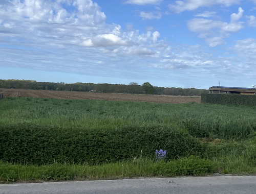                                         Terrain à bâtir à vendre à Poelkapelle, € 279.360
