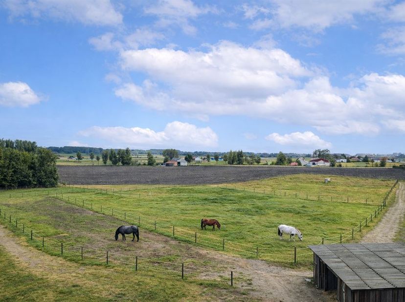 Bent u op zoek naar een degelijk stuk landbouwgrond op een strategische ligging? Dit perceel weidegrond combineert een rustige, landelijke omgeving me
