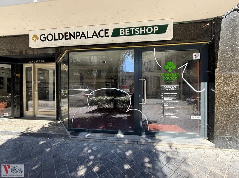 Commerciële ruimte 95m² in een statig, residentieel gebouw - nabij commerciële invalsweg Alfons Pieterslaan - gevelbreedte 5,50m -&amp;nbsp;&amp;nbsp;grote ra