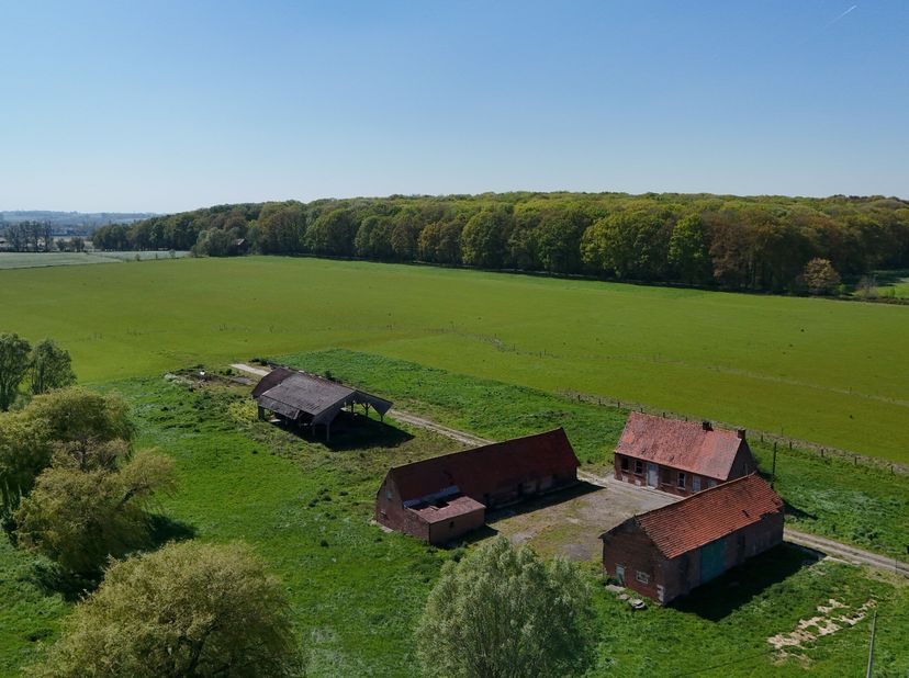 Ontdek deze eigendom op https://thibaultfiers.be/eigendom/een-hectare-groen,-klaar-voor-jouw-toekomst/8568766 (url kopiëren en plakken indien doorklik