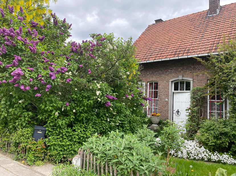 Huis te koop in Smedenstraat 58,
                    2500 Lier