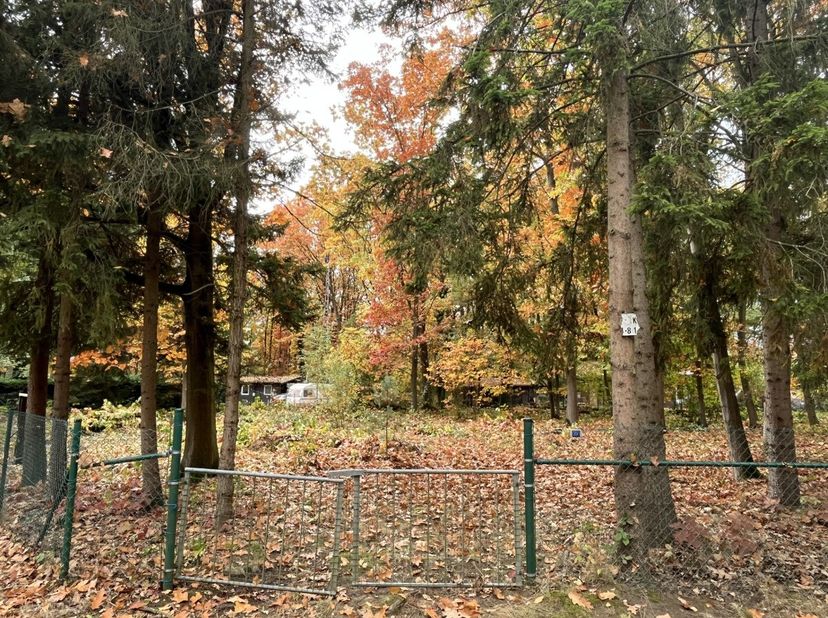 Droom je van een eigen plek midden in het groen, waar je volop kunt genieten van rust, natuur en privacy? Deze volledig omheinde recreatiegrond van 1.