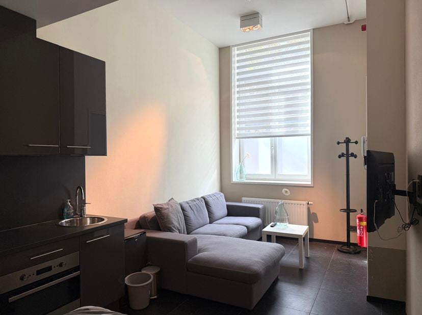 Ontdek deze charmante en lichtrijke studio op het gelijkvloers, gelegen in de Adriaan Brouwerstraat 29, in het hart van Antwerpen. De studio bevindt z
