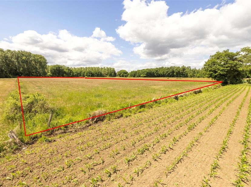 Landbouwgrond van 17.489m² te Itegem.<br />
Het perceel is bereikbaar via de Hulshoutsesteenweg en is rustig gelegen. <br />
U kan het perceel terugvi