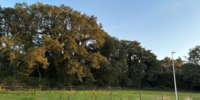 Grond te koop in Layenveld 15, 3665 As