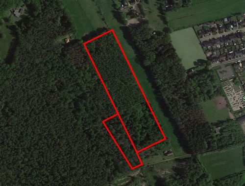                                         Bois à vendre à Stekene, € 169.000
