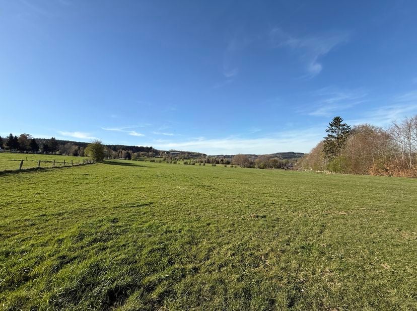 Bouwgrond van 730 m², gelegen in het rustige dorpje Lamormenil (Manhay), in het hart van de Belgische Ardennen.<br />
Het terrein biedt een prachtig u