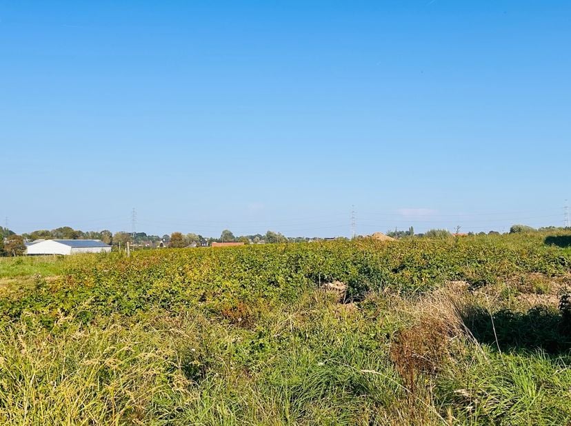 Terrain à vendre à Pladijsstraat 217,
                    8540 Deerlijk