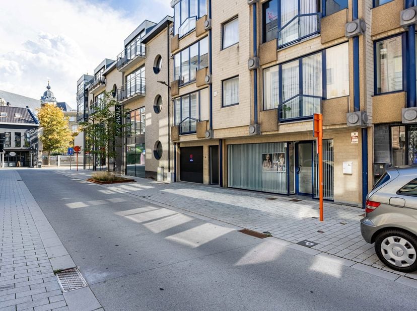 Bien professionnel à vendre à Kaardeloodstraat 10,
                    9400 Ninove