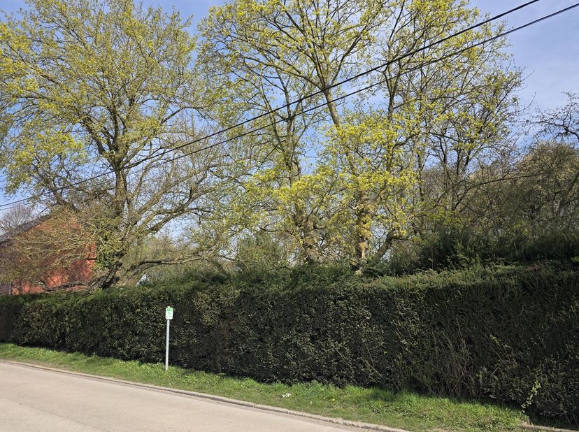 Midden in een boomgaard ligt dit prachtige bouwperceel van 17,18 are met uitzicht op de velden. Met een uitzonderlijke breedte van 32,30 m en gelegen