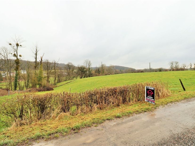 Superbe terrain à bâtir situé dans un cadre verdoyant à Sautour. <br />
Superficie de la parcelle : 28 ares 25 ca. <br />
Façade à rue : +/- 30m.<br /