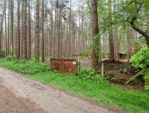                                         Bos te koop in Gierle, € 45.000

