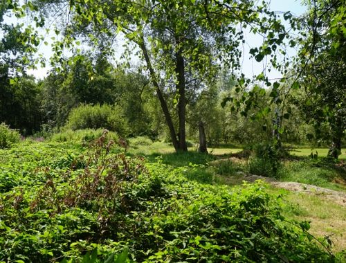                                         Terrain à bâtir à vendre à Tremelo, € 199.000
